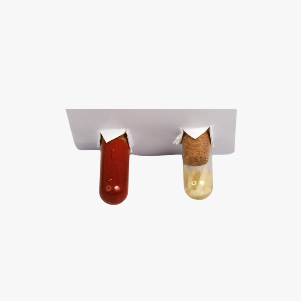 Celebrate a Greener Raksha Bandhan with Plantable Rakhis